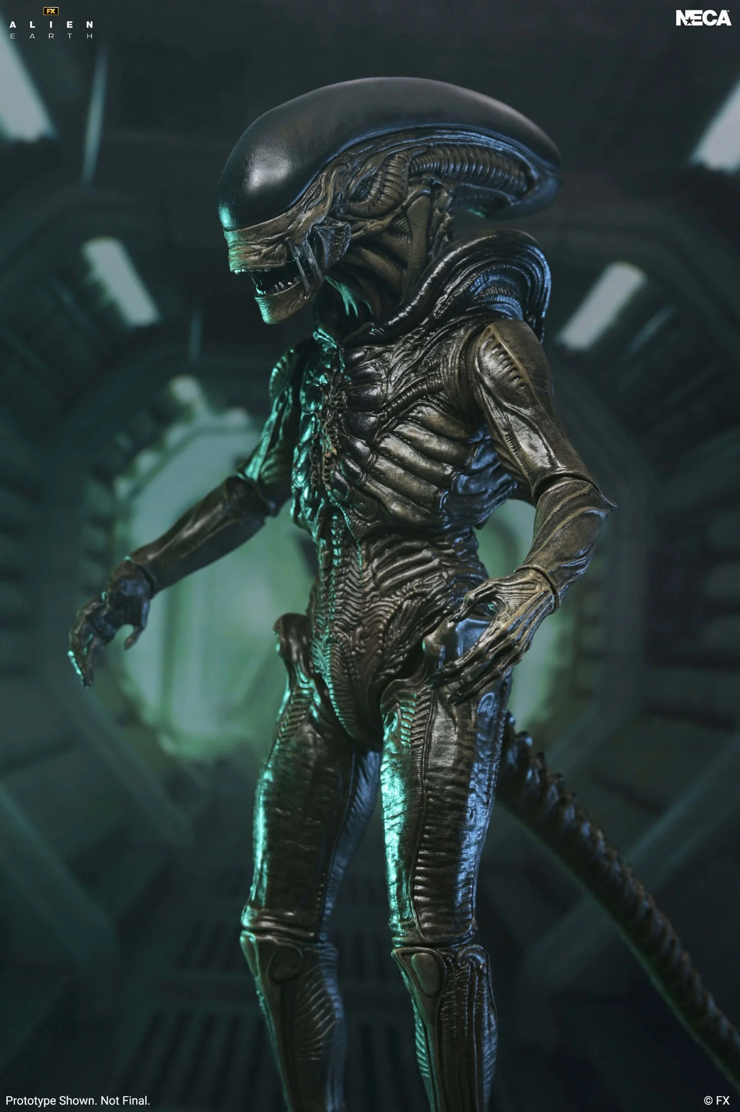 1440w Alien: Earth Ultimate Xenomorph NECA - Imagen 1