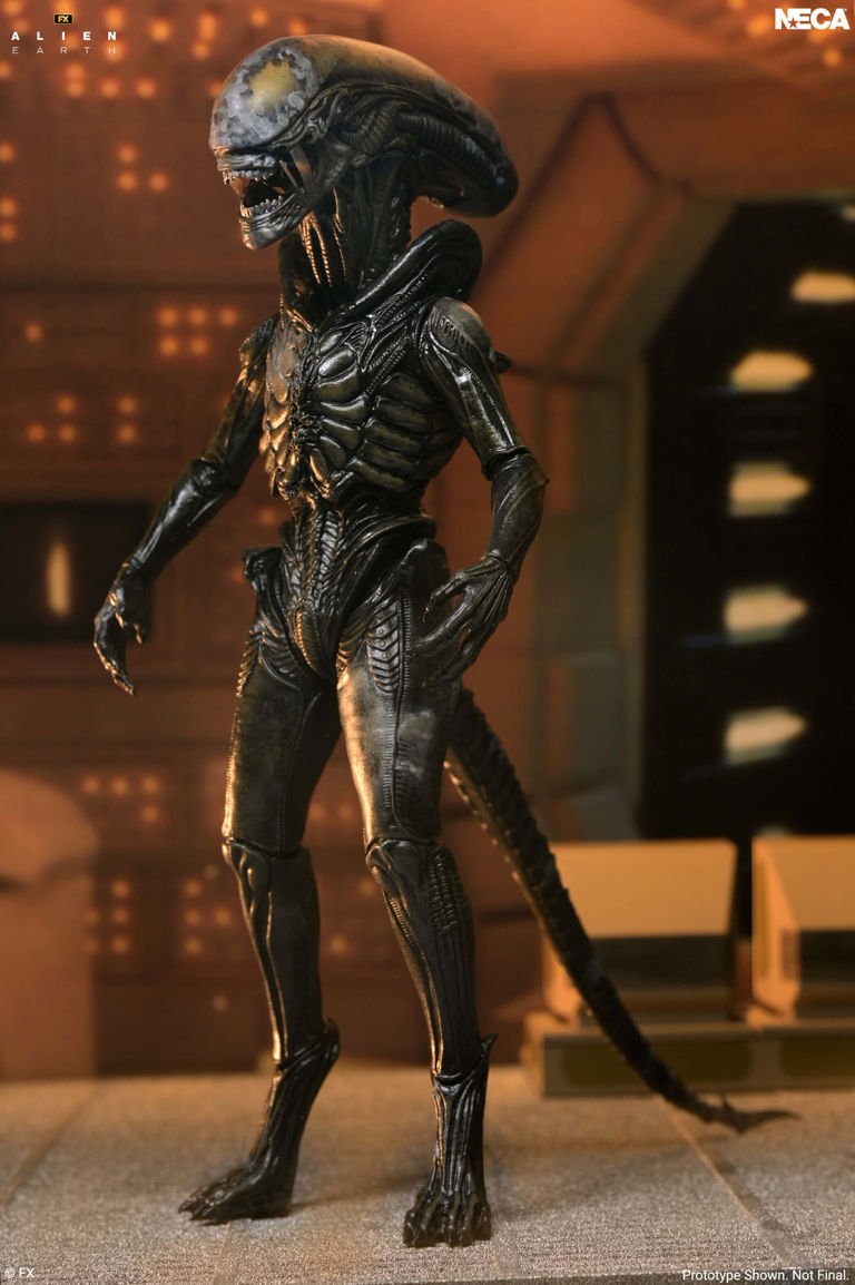 ALIEN 1 Alien: Earth Ultimate Wendy's Xenomorph NECA - Imagen 1