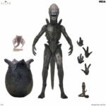Alien: Earth Ultimate Wendy's Xenomorph NECA - Imagen 5