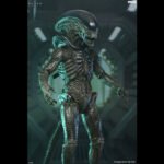 Alien: Earth Ultimate Xenomorph NECA - Imagen 2
