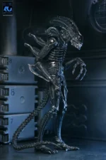 Aliens - 40th Anniversary Ultimate Xenomorph Warrior 7" NECA