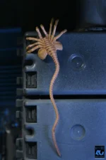 Aliens - 40th Anniversary Ultimate Xenomorph Warrior 7" NECA - Imagen 3