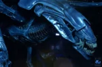 Aliens 40th Anniversary Alien Queen Deluxe Action Figure NECA - Imagen 7